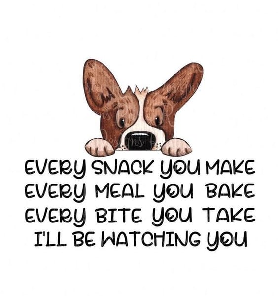 Dog Food Fridge Magnet