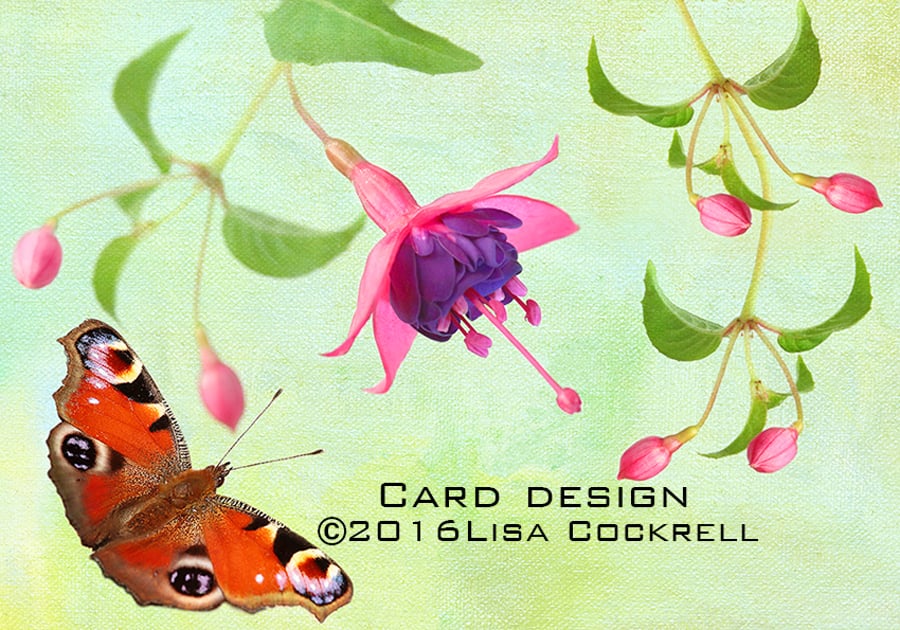 Exclusive Butterfly Fuschia Garden Greetings Card
