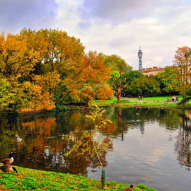 Autumn Trees Regent's Park London England Photograph Print