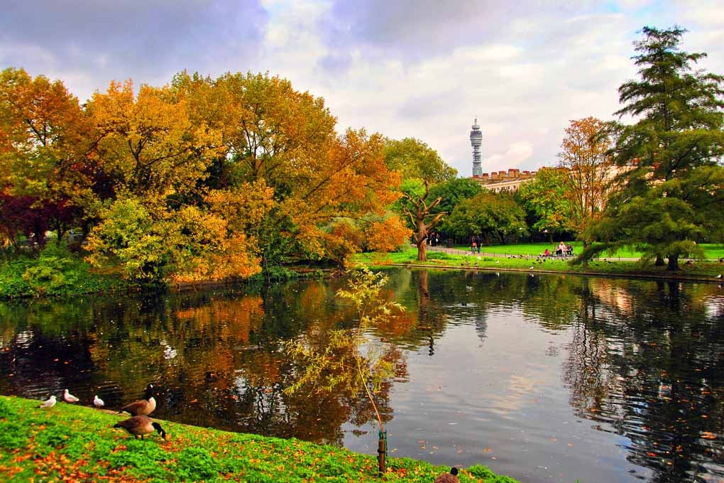 Autumn Trees Regent's Park London England Photograph Print