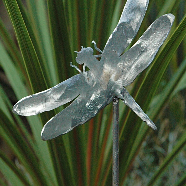 Dragon fly plant support