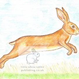 Leaping Hare - Blank Card