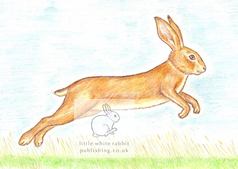 Leaping Hare - Blank Card