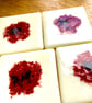 Set of 4 Fused Glass Poppy Coasters