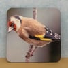 Coaster - Goldfinch