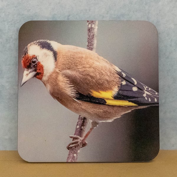 Coaster - Goldfinch