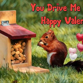 Valentine's Day Card You Drive Me Nuts A5