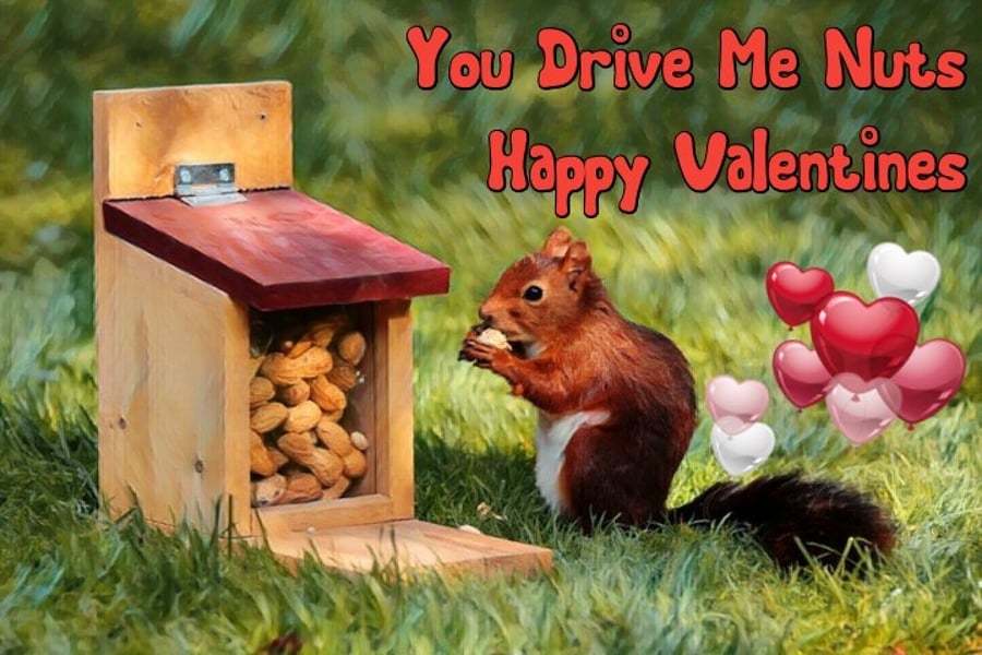 Valentine's Day Card You Drive Me Nuts A5