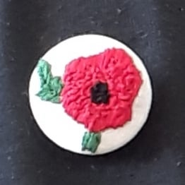 Red Poppy brooch on silk. All proceeds go to British Legion 