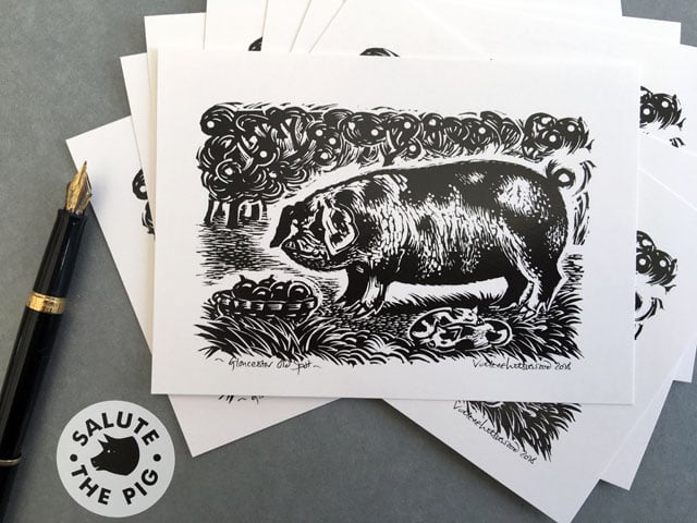 A Set of 8 British Rare Breed PIg Postcards 