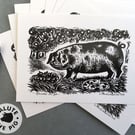 A Set of 8 British Rare Breed PIg Postcards 