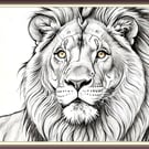 A4 Print of Lion (unframed)