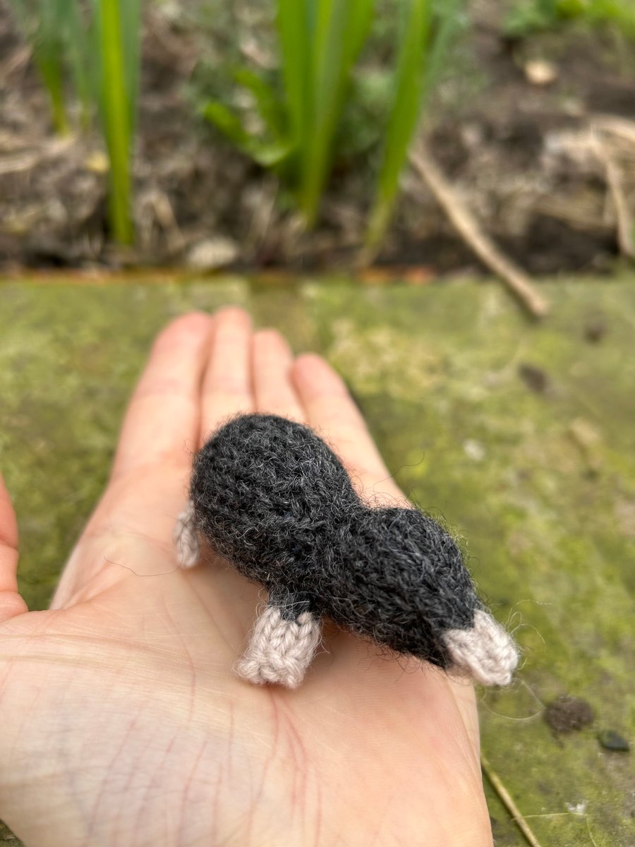 Knitted Mole, Animal lovers, Gifts