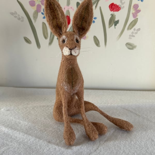 Sloppy Hare