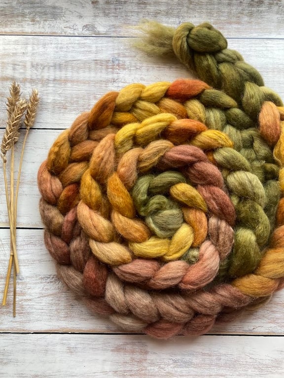 Pilgrims Path Spinning Fibre 100g Lammastide
