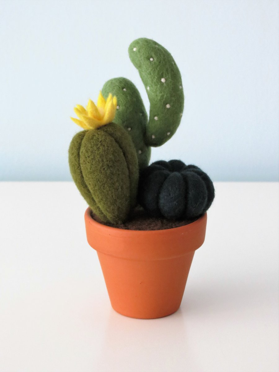 Merino Wool Needle Felted Succulent