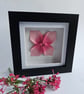 Pink origami flower in a shadow box frame