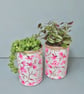 Cherry blossom grow your own herb garden gift set  - Image 3
