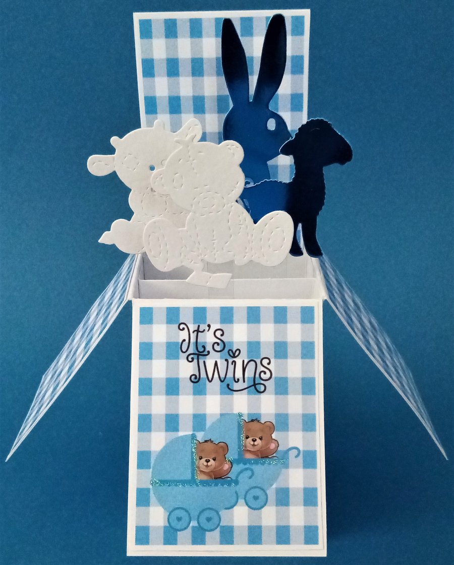 Twin Baby Boy's Card