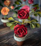 Carmine Garden Rose in Terracotta - Deep Red Felt Bloom - Image 5