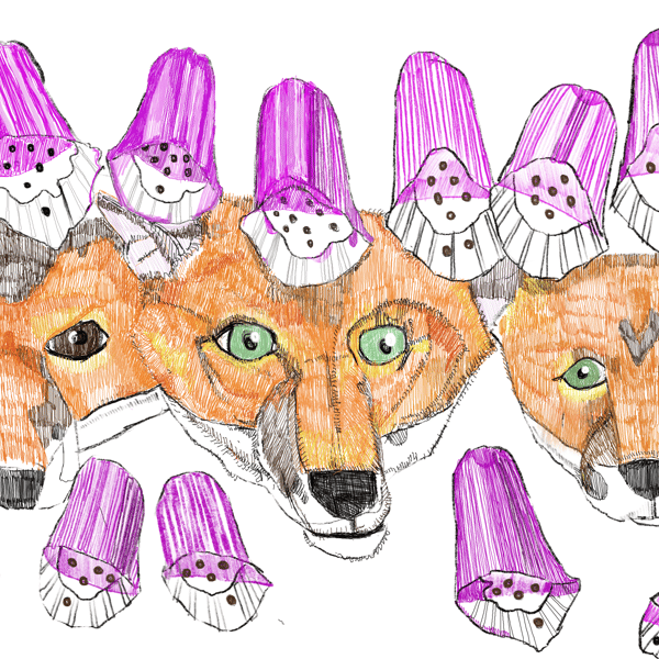 A6 postcard of foxes in the fox gloves