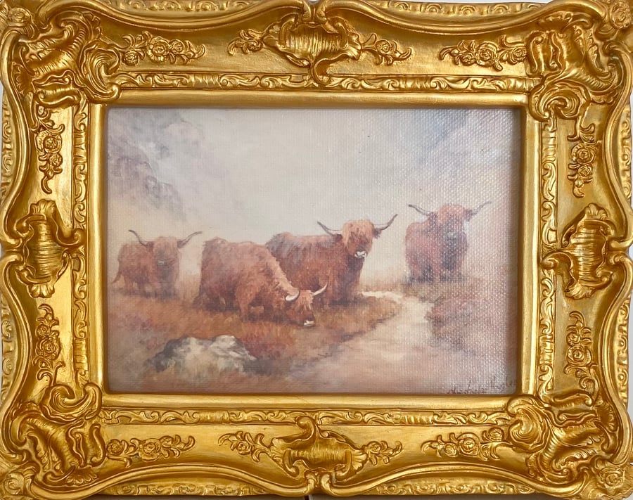 Highland Cattle. Framed Special Edition Canvas Print 