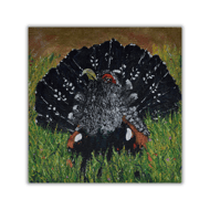 Ready to hang - acrylic painting on canvas - Capercaillie - original bird art