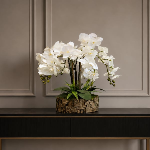 Luxury White Phalaenopsis Orchid Arrangement with Bark Effect Planter – Handmade