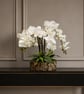 Luxury White Phalaenopsis Orchid Arrangement with Bark Effect Planter – Handmade