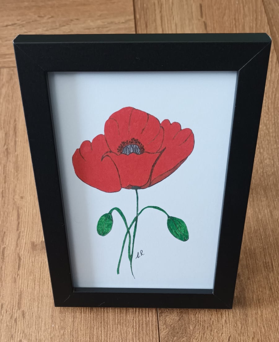 Framed 6" X 4" Print Of Original Artwork, Red Poppy In A Black Frame.