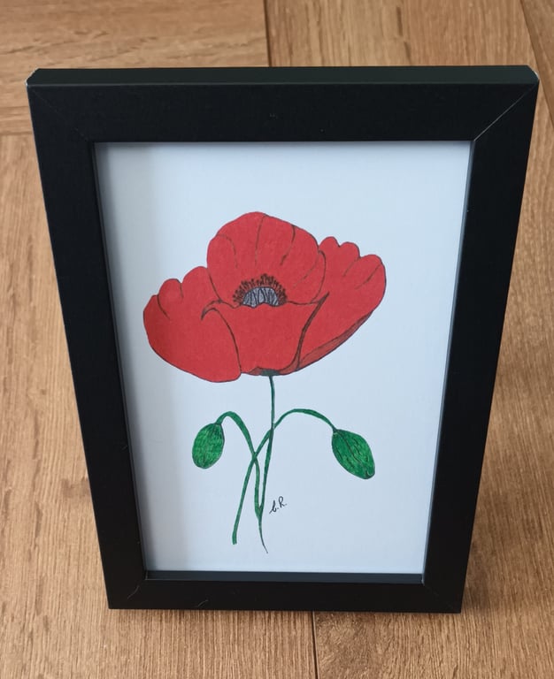 Framed 6" X 4" Print Of Original Artwork, Red Poppy In A Black Frame.