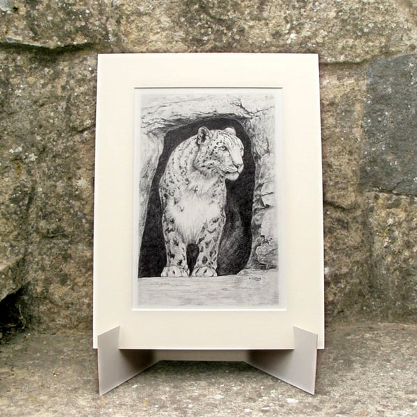 Snow Leopard in Cave - Original Graphite Pencil Drawing