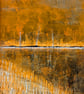 'Autumn Glow' Original A4 Framed Painting - Image 3