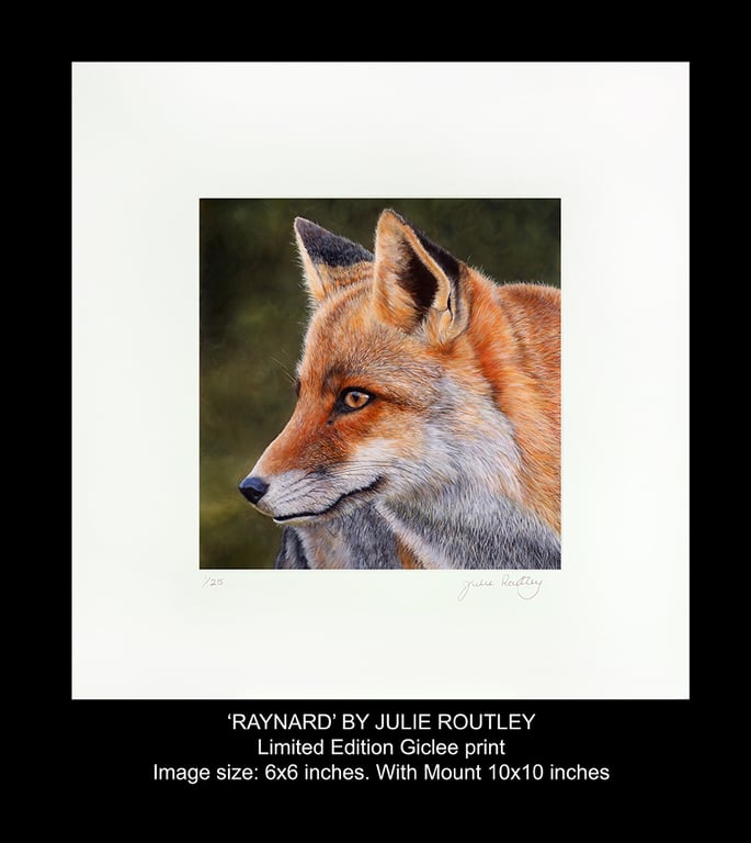 'Raynard' - Giclee Print