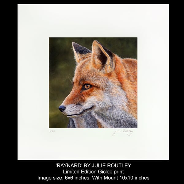 'Raynard' - Giclee Print