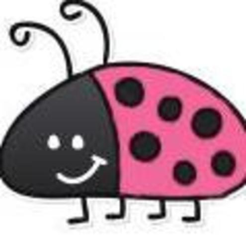 Bespoke Glass order for Holly