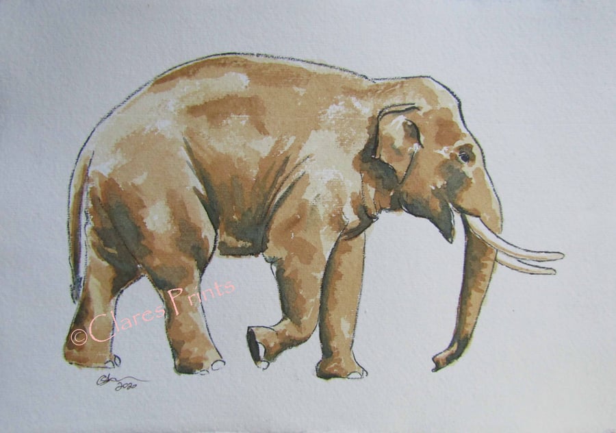 Elephant Art Watercolour Original Animal Painting 