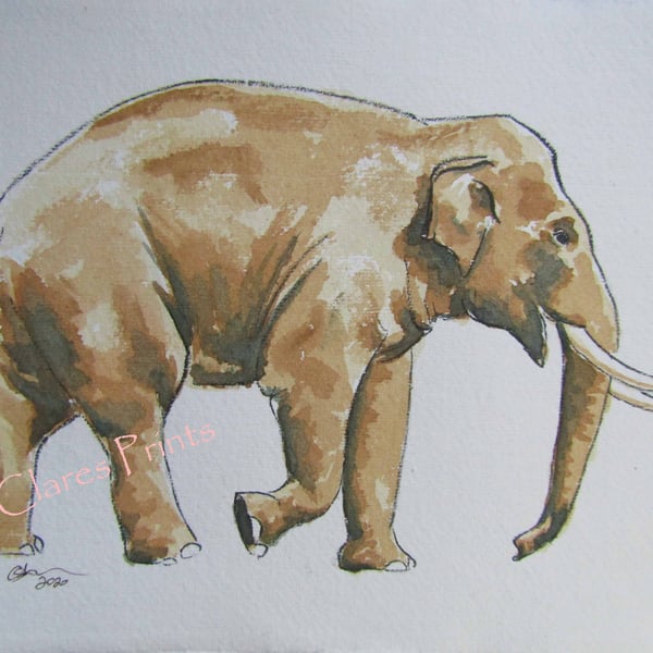 Elephant Art Watercolour Original Animal Painting 
