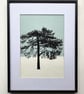 Ashdown Pine no.61, A4 size, original artwork, hand painted, blue - Image 4