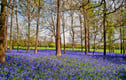 Oxfordshire England Photographs Pictures Print