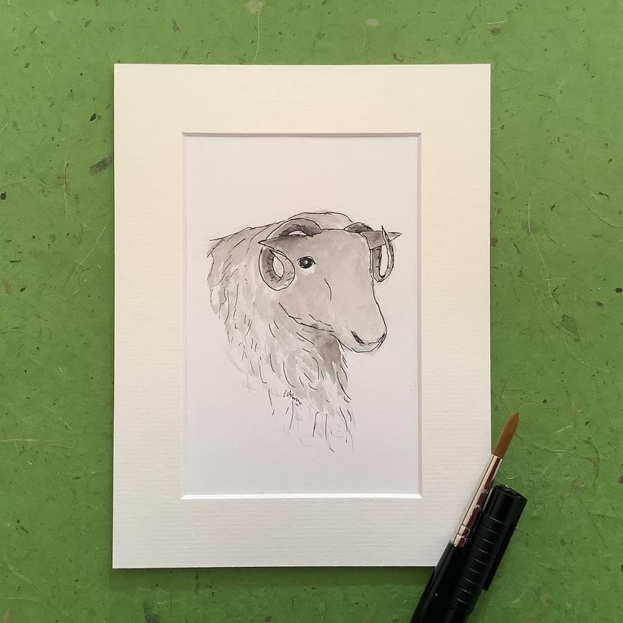 Sheep - Original watercolour painting. Farm animals.