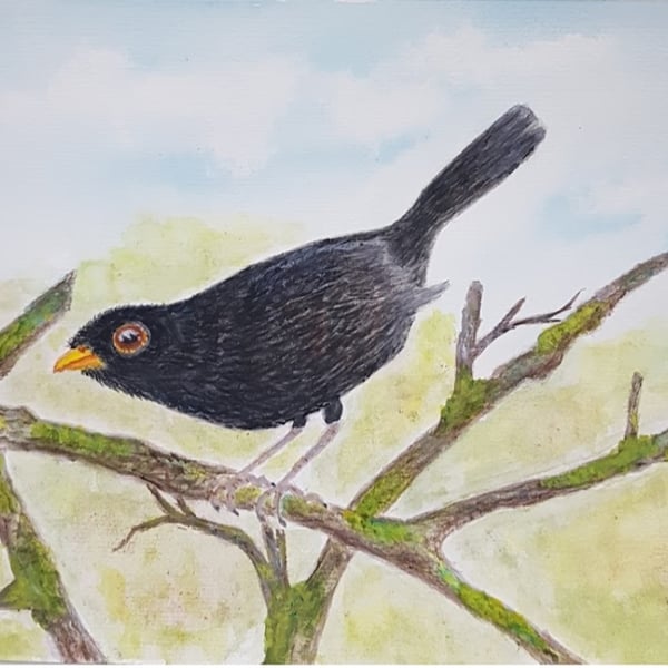 Bertie Blackbird - Nostalgic Garden Wildlife Art.  A4 Hand signed watercolour.