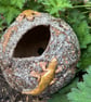 Stoneware planter with lizards