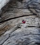 Garnet Stack Ring - Image 4