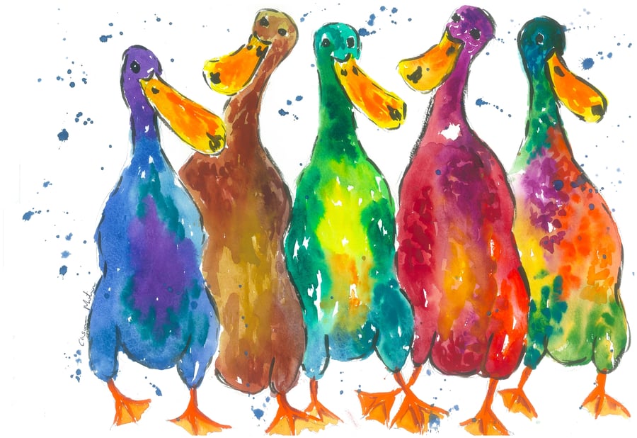 Colourful Ducks Greeting card 5" x 7" "Quackers!"