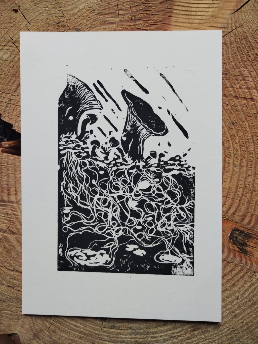 Wet Mycelials- King Oyster Mushrooms in the Rain