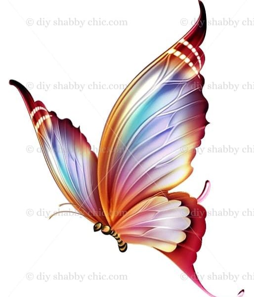 Waterslide Wood Furniture Vintage Image Transfer Shabby Chic Rainbow Butterfly