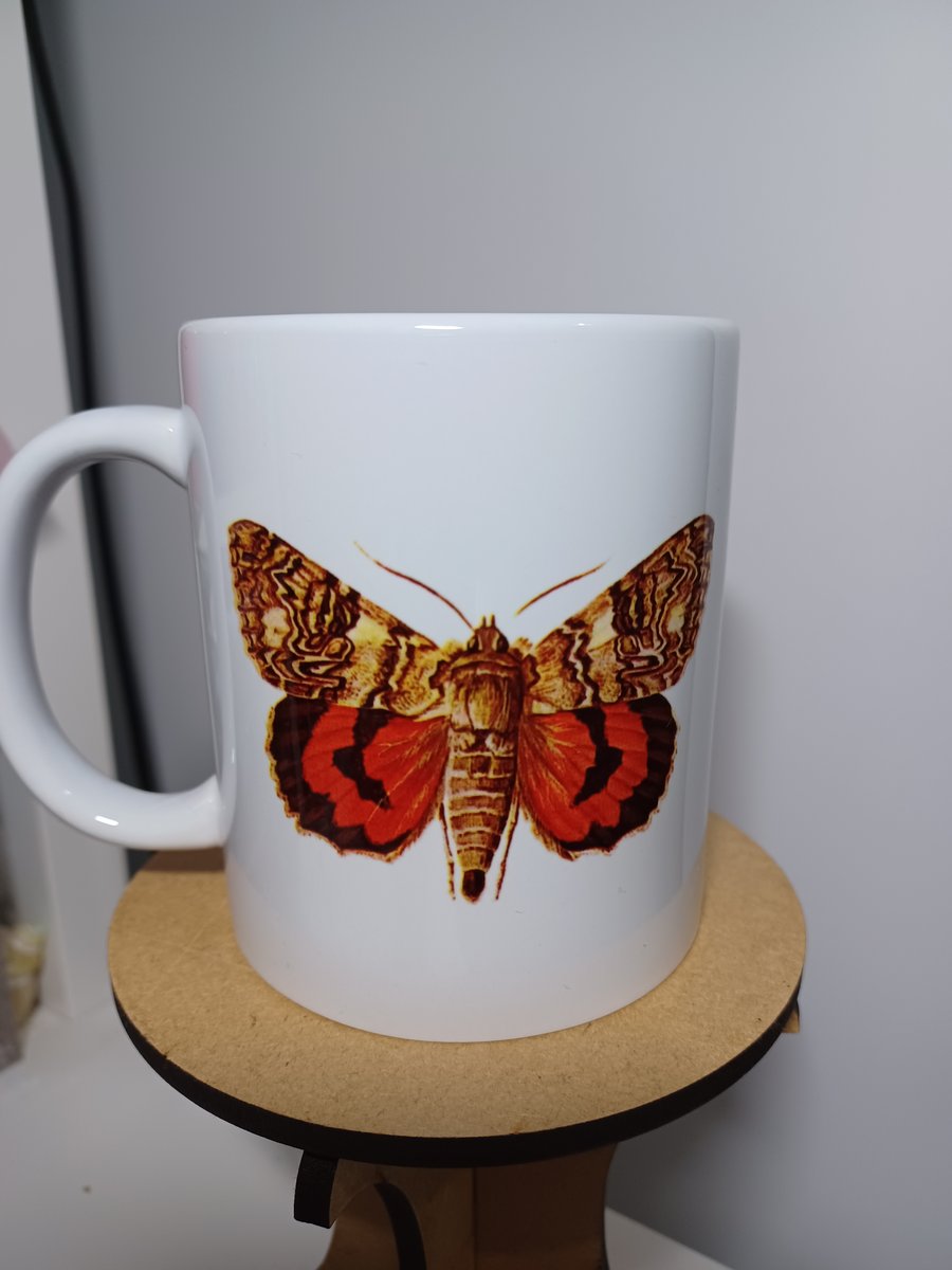 Red Underwing Moth Mug 11oz Insects Bugs Nature Nerd Wildlife Lover Gift