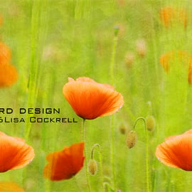 Exclusive Poppy Fields Greetings Card