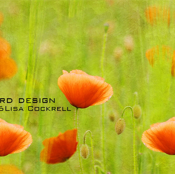 Exclusive Poppy Fields Greetings Card